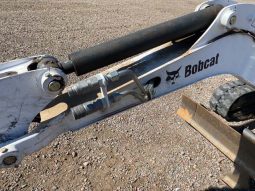 2016 Bobcat E20 full